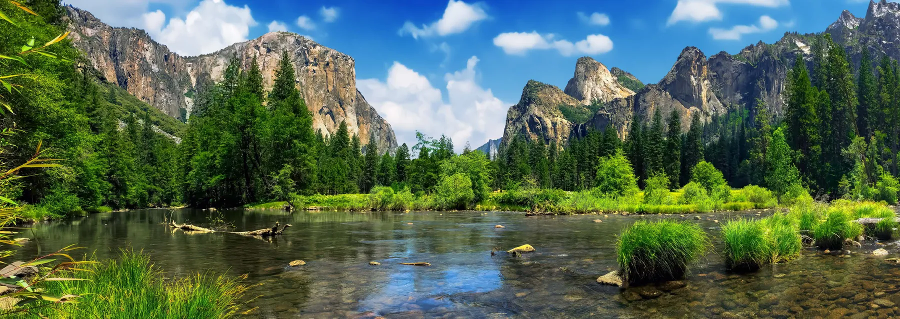 El Capitan rising over the valley floor in Yosemite